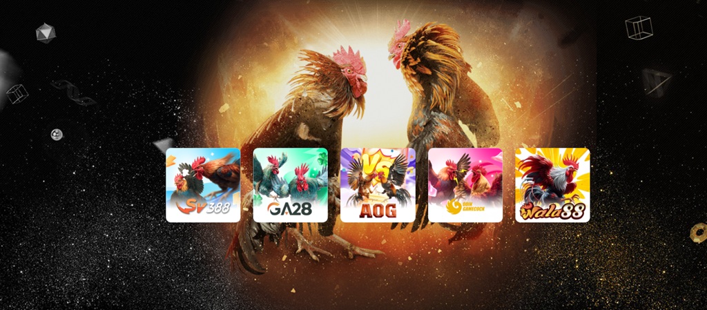 Các Sảnh Đá Gà tại AE888