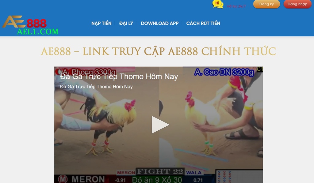 Chính Sách Điều Khoản Ael1.com